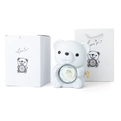 Oso Joyero Sorpresa